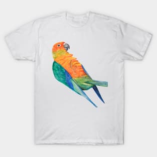 Sun parakeet Print, Bird Prints, Parrot Poster Bresil Animal Wall Art Tropical Bird Art Bird Print Aratinga Art T-Shirt